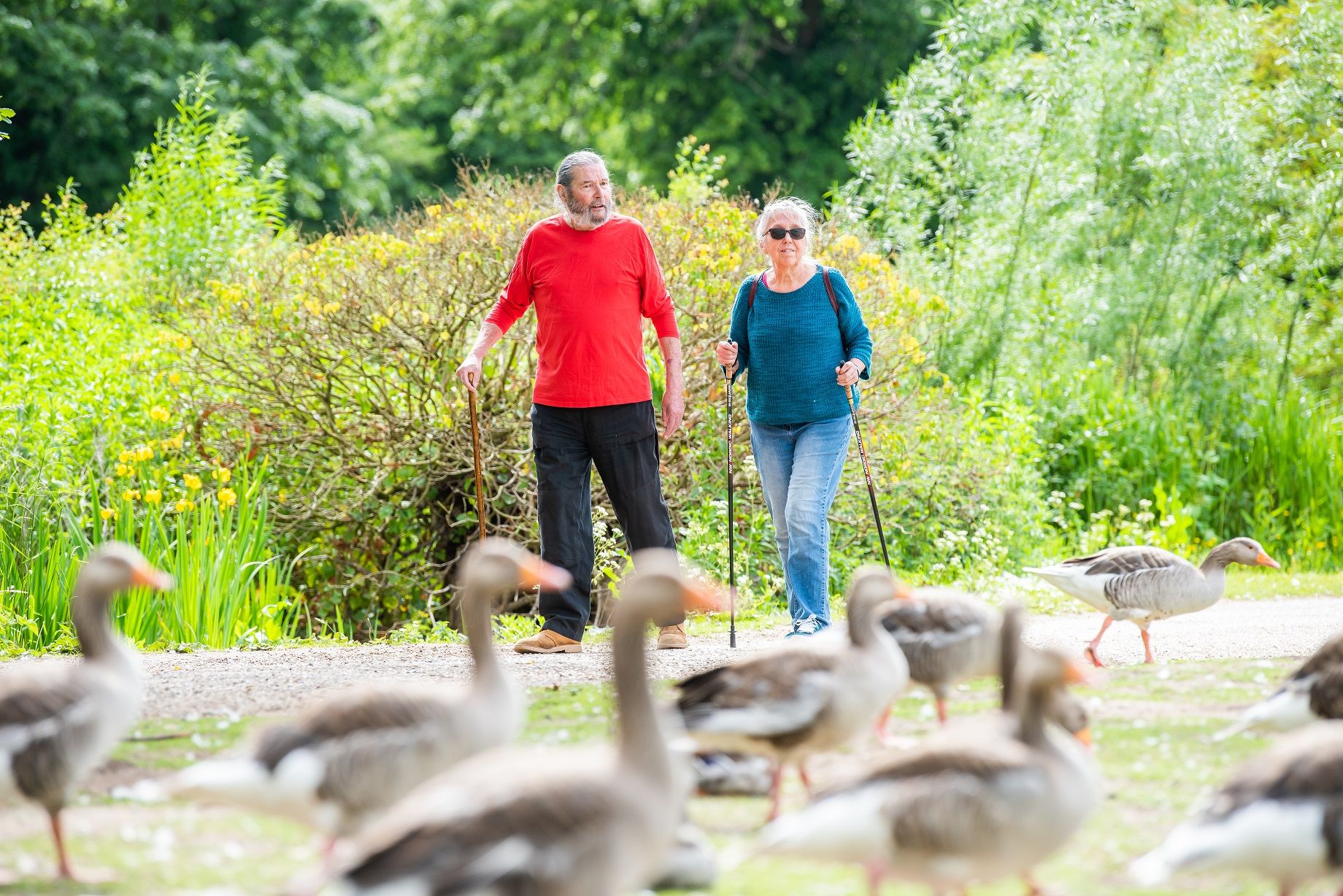 Couple walking along the path